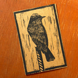Desert Bird Postcards by Drifting Venus