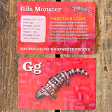 Desert Dwellers Flash Cards by Julie Originals