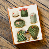 Botanical Cactus Key Hangers by DDco Design