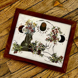 Framed Art Prints by Marcy Ellis
