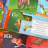 Desert Dwellers Flash Cards by Julie Originals