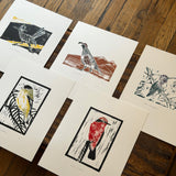 Desert Bird Prints by Drifting Venus