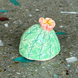 Ceramic Cacti by Mehgan on the Moon