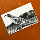 Desert Bird Postcards by Drifting Venus