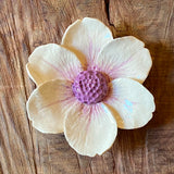 Ceramic Flora by Pottery by Jodi