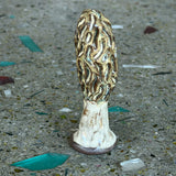 Ceramic Mushrooms by Mehgan on the Moon