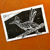 Desert Bird Postcards by Drifting Venus