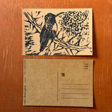 Desert Bird Postcards by Drifting Venus