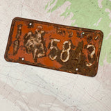 Vintage License Plates