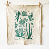 Organic Tea Towels