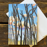 Notecards by Maria Arvayo