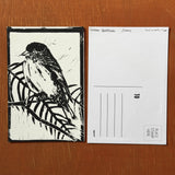Desert Bird Postcards by Drifting Venus