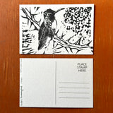Desert Bird Postcards by Drifting Venus