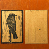 Desert Bird Postcards by Drifting Venus
