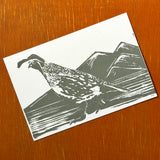 Desert Bird Postcards by Drifting Venus