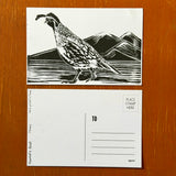 Desert Bird Postcards by Drifting Venus