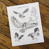Art and Biology, 8x10 Prints by Aall Forms of Life
