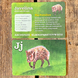 Desert Dwellers Flash Cards by Julie Originals
