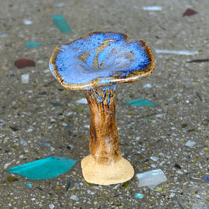 Ceramic Mushrooms by Mehgan on the Moon