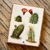 Botanical Cactus Key Hangers by DDco Design