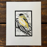Desert Bird Prints by Drifting Venus