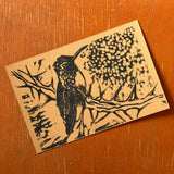Desert Bird Postcards by Drifting Venus