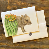 Sonoran Desert Notecards by Aall Forms of Life
