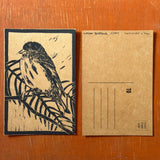 Desert Bird Postcards by Drifting Venus
