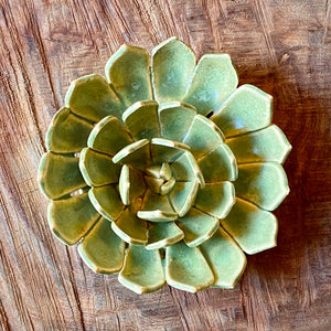 Ceramic Flora by Pottery by Jodi