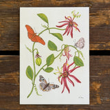 Art and Biology, 5x7 Prints by Aall Forms of Life