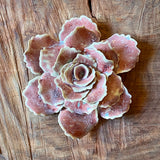 Ceramic Flora by Pottery by Jodi