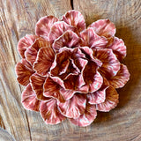 Ceramic Flora by Pottery by Jodi