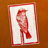 Desert Bird Postcards by Drifting Venus