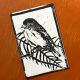 Desert Bird Postcards by Drifting Venus