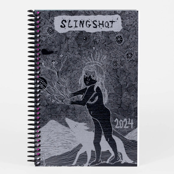 2024 Large Slingshot Planner