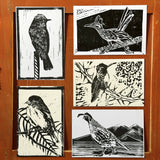 Desert Bird Postcard Sets by Drifting Venus