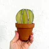 Stained Glass Cactus by Goodness Glass