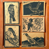 Desert Bird Postcard Sets by Drifting Venus