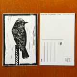 Desert Bird Postcards by Drifting Venus