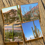 Coaster Set of 4 By DDco Design