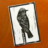 Desert Bird Postcards by Drifting Venus