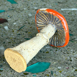 Ceramic Mushrooms by Mehgan on the Moon