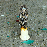 Ceramic Mushrooms by Mehgan on the Moon