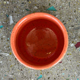 Spotted Saguaro Cups by Mehgan on the Moon