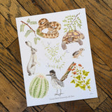 Art and Biology, 8x10 Prints by Aall Forms of Life