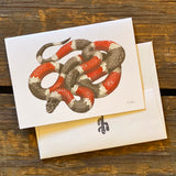 Sonoran Desert Notecards by Aall Forms of Life