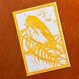 Desert Bird Postcards by Drifting Venus
