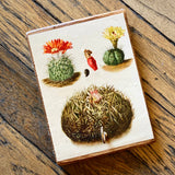 Botanical Cactus Key Hangers by DDco Design