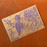 Desert Bird Postcards by Drifting Venus