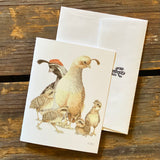 Sonoran Desert Notecards by Aall Forms of Life